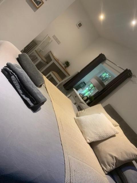 The Dolphin Bed & Breakfast Winchester