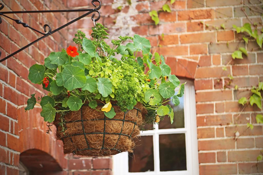 The King's Head Bed & Breakfast Winchester